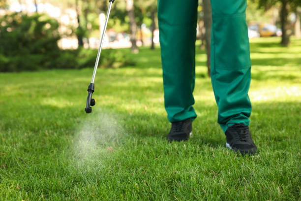 Professional Pest Control in Kaanapali, HI